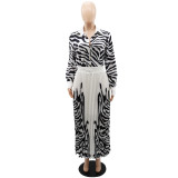 Zebra Print Two Piece Long Sleeve Pleated Skirt Set