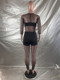 Mesh Patchwork 2PCS Set Sexy See Through Long Sleeve Top and Pants