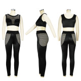 Hollow Out Mesh Patchwork Sexy Cropped Tank Top Pants 2PCS Set
