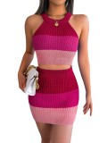 Gradient Knit Halter Sleeveless Crop Top and Skirt Two Piece Set