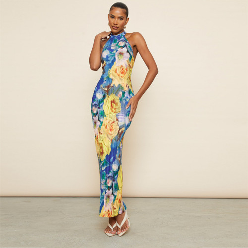 Floral Print Sleeveless Halter Backless Mesh Maxi Dress