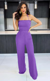 Sexy Low Back Shirred Straight Leg Halter Jumpsuit