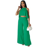 Sexy 2PCS Set Sleeveless Crop Top and Widel Leg Pants