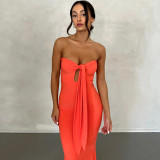 Solid Sexy Low Back Cutout Slim Halter Mermaid Maxi Dress