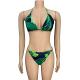 Sexy Mesh Tropical Print Three-Piece Swimwear Bikini Set with Cover-Up