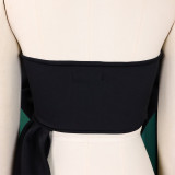 Stylish Chic Strapless Bowknot Women's Top Crop Top