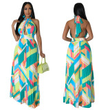 Halter Backless Geometric Print Sleeveless Pleated Maxi Dress