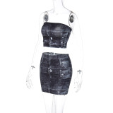 Fashion Print Bandeau Top and Slim Mini Skirt 2PCS Set
