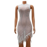 Sexy Mesh Beaded Rhinestone See-Through Feather Trim Sleeveless Club Dress
