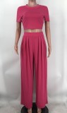 Solid Crop Top and Wide Leg Pants Casual 2PCS Set