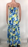 Floral Printed Strapless Tie Front Crop Top and Long Skirt 2PCS Set