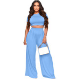 Solid Crop Top and Wide Leg Pants Casual 2PCS Set