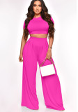 Solid Crop Top and Wide Leg Pants Casual 2PCS Set