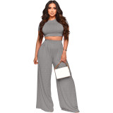 Solid Crop Top and Wide Leg Pants Casual 2PCS Set