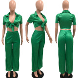 Solid Tie Front Crop Top and Pleated Wide-Leg Pants Fashion 2PCS Set