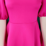 Round Neck Puff Sleeve Short Sleeve A-Line Party Dress