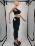 Solid Cropped Tank Top and Pants Sports Two Piece Set