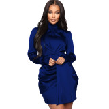 Solid Satin Long Sleeve Ruched Turtleneck Bodycon Dress