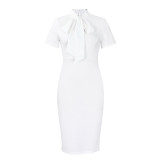 Fashion Tie Neck Short Sleeve Pencil Chic Midi Dress