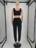 Solid Cropped Tank Top and Pants Sports Two Piece Set