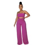 Solid Casual Shirred Bandeau Top and Pants 2-Piece Set