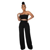 Solid Casual Shirred Bandeau Top and Pants 2-Piece Set