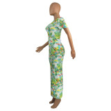 Ladie Round Neck Side Pocket Short Sleeve Slim Print Maxi Dress