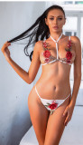 Erotic Lingerie Sexy Embroidered Seduction Lingerie Set