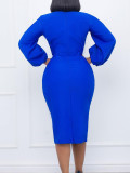 Solid Puff Sleeve Chic Bodycon Dress with Brooch