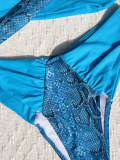 Snakeskin Colorblock Sexy Two Piece Swimwear