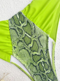 Snakeskin Colorblock Sexy Two Piece Swimwear
