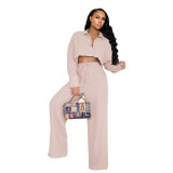 Solid Cropped Shirt Wide Leg Pants Casual 2-Piece Set
