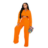 Solid Cropped Shirt Wide Leg Pants Casual 2-Piece Set