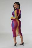 Sexy Gradient Print Mesh Bodycon Dress