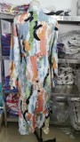 Chic Print Career Shirt Dress Long Sleeve Elegant Irregular Dress