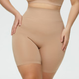 Plus Size High Waisted Tummy Control Shapewear Panty