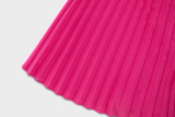 Wholesale Long Sleeve V-Neck Pleated A-Line Midi Dress