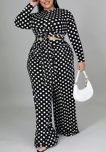 Pokla Dot Print Long Sleeve Tie Crop Top High Waist Pants Plus Size 2PCS Set