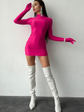 Solid Long Sleeve Sexy Mock Neck Bodycon Dress with Gloves