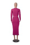 Pure Color Long Sleeve Crop Top and Bodycon Long Skirt 2PCS Set