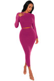 Pure Color Long Sleeve Crop Top and Bodycon Long Skirt 2PCS Set