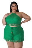 Plus Size Fringe Hollow Out Knitting Casual Two-Piece Shorts Set
