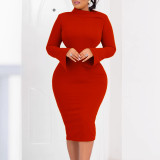 Solid Solid Flare Sleeve Bodycon Dress