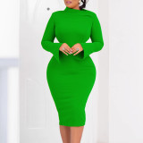Solid Solid Flare Sleeve Bodycon Dress