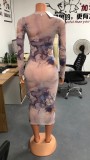 Printed Long Sleeve See Through Mesh Bodycon Midi Dress