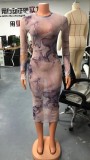 Printed Long Sleeve See Through Mesh Bodycon Midi Dress