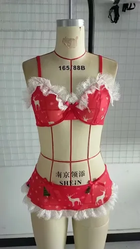 Christmas Sexy Underwear Lingerie Set