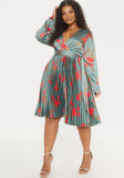 Print Sexy V-neck Long Sleeve Floral Pleated Dress