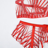 Embroidered Stripe See-Through Sexy Garter Lingerie Set