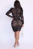 Solid Long Sleeve Mesh Overlay Mini Dress